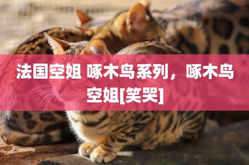 法国空姐 啄木鸟系列，啄木鸟空姐[笑哭]