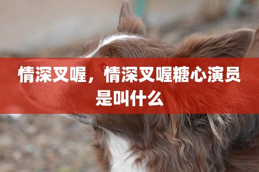 情深叉喔，情深叉喔糖心演员是叫什么