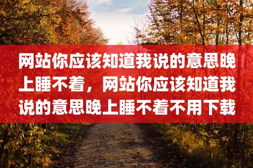网站你应该知道我说的意思晚上睡不着，网站你应该知道我说的意思晚上睡不着不用下载