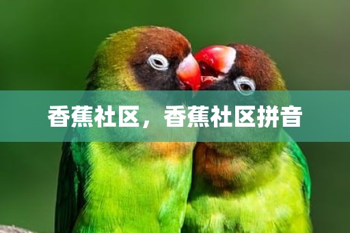 香蕉社区，香蕉社区拼音