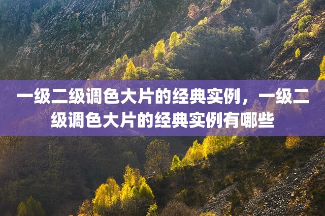 一级二级调色大片的经典实例，一级二级调色大片的经典实例有哪些