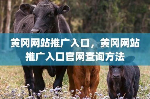 黄冈网站推广入口，黄冈网站推广入口官网查询方法