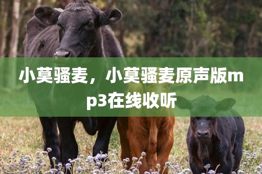 小莫骚麦，小莫骚麦原声版mp3在线收听
