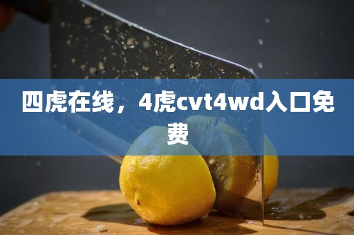 四虎在线，4虎cvt4wd入口免费