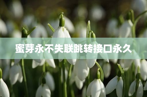蜜芽永不失联跳转接口永久