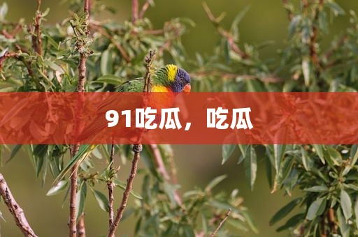 91吃瓜，吃瓜