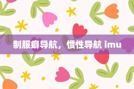 制服癖导航，惯性导航 imu