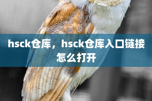 hsck仓库，hsck仓库入口链接怎么打开