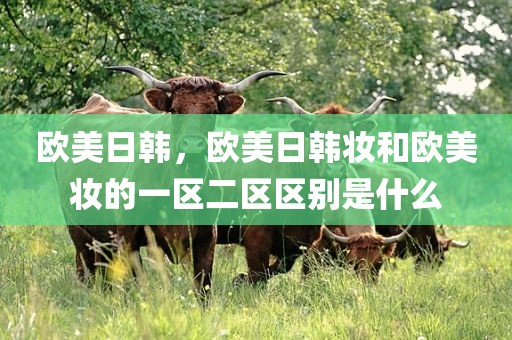 欧美日韩，欧美日韩妆和欧美妆的一区二区区别是什么
