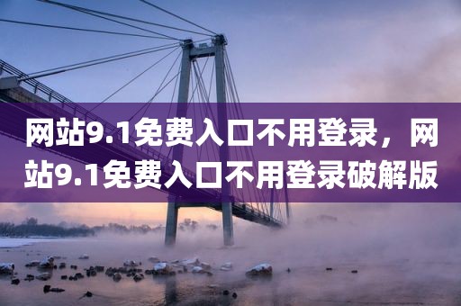 网站9.1免费入口不用登录，网站9.1免费入口不用登录破解版