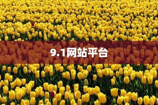 9.1网站平台