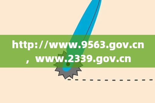 http://www.9563.gov.cn，www.2339.gov.cn