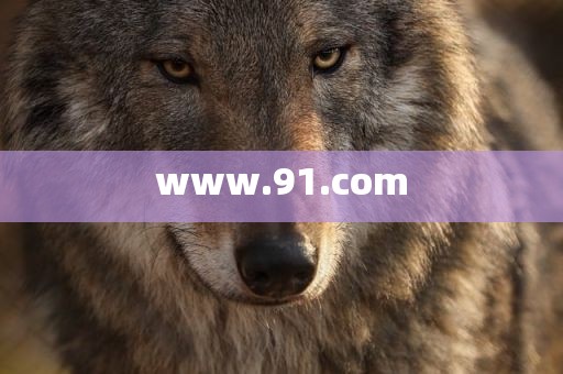 www.91.com