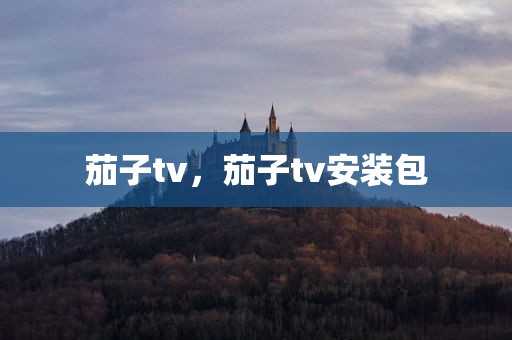 茄子tv，茄子tv安装包