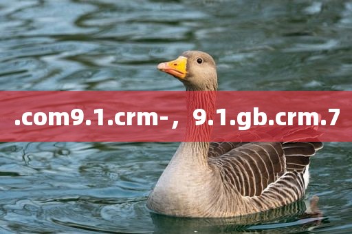 .com9.1.crm-，9.1.gb.crm.7