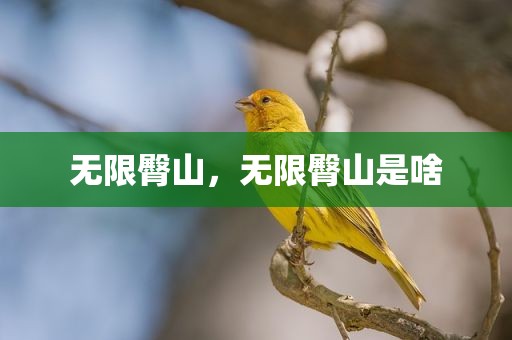 无限臀山，无限臀山是啥