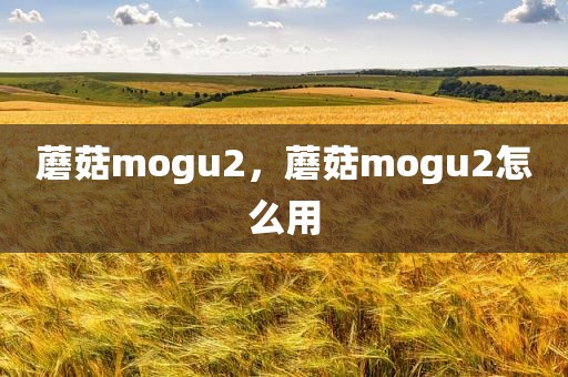 蘑菇mogu2，蘑菇mogu2怎么用