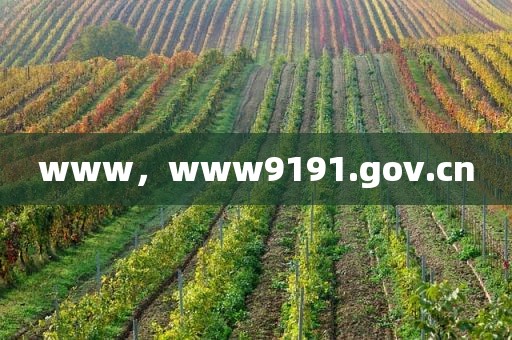www，www9191.gov.cn