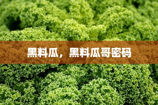 黑料瓜，黑料瓜哥密码