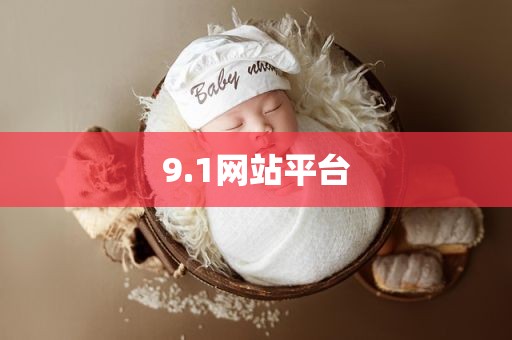9.1网站平台