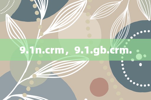 9.1n.crm，9.1.gb.crm.