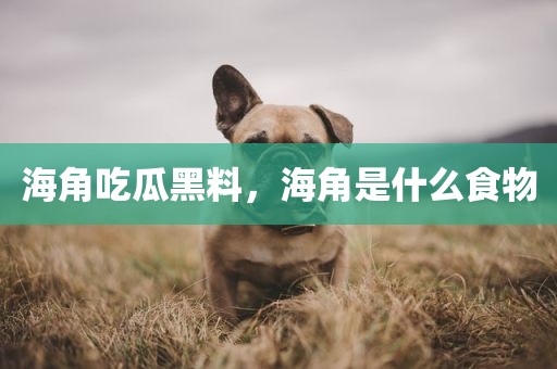海角吃瓜黑料，海角是什么食物