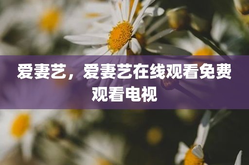 爱妻艺，爱妻艺在线观看免费观看电视