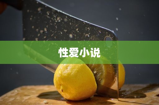 性爱小说