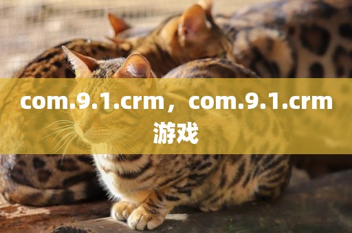 com.9.1.crm，com.9.1.crm游戏