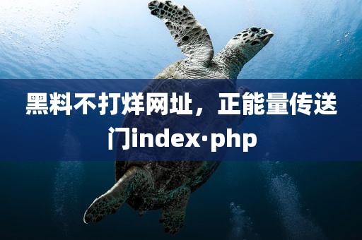 黑料不打烊网址，正能量传送门index·php