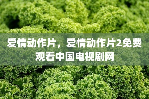 爱情动作片，爱情动作片2免费观看中国电视剧网