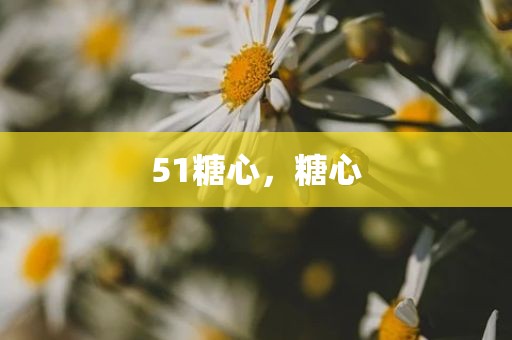 51糖心，糖心