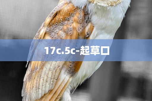 17c.5c-起草口
