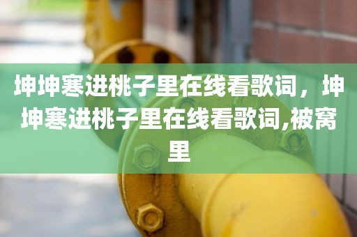 坤坤寒进桃子里在线看歌词，坤坤寒进桃子里在线看歌词,被窝里