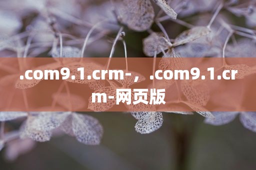 .com9.1.crm-，.com9.1.crm-网页版