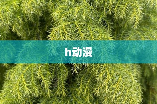 h动漫