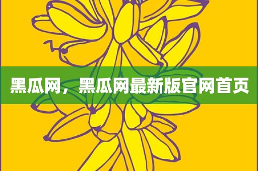 黑瓜网，黑瓜网最新版官网首页
