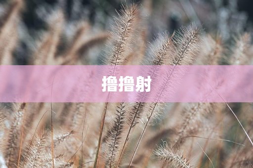 撸撸射