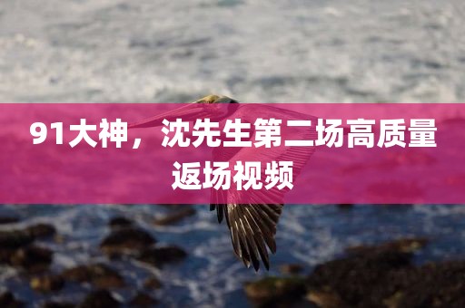 91大神，沈先生第二场高质量返场视频