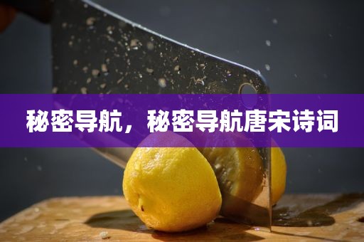 秘密导航，秘密导航唐宋诗词