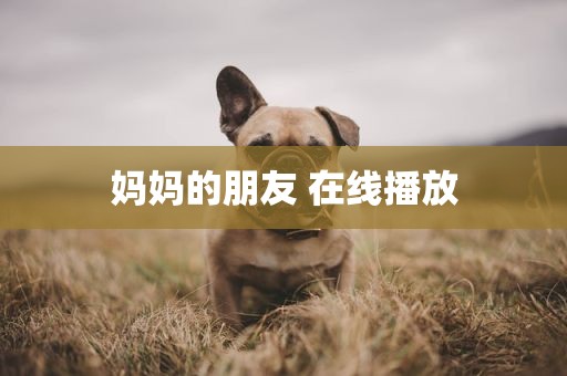 妈妈的朋友 在线播放