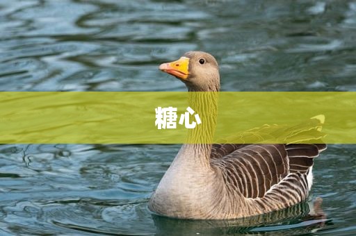 糖心