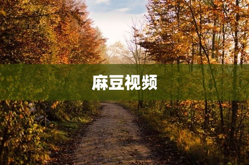麻豆视频