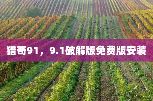 猎奇91，9.1破解版免费版安装