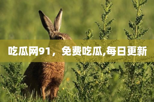吃瓜网91，免费吃瓜,每日更新