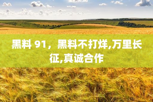黑料 91，黑料不打烊,万里长征,真诚合作