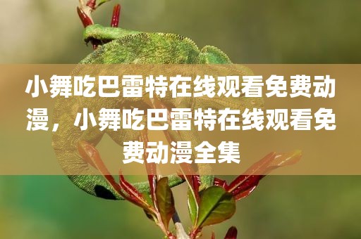 小舞吃巴雷特在线观看免费动漫，小舞吃巴雷特在线观看免费动漫全集