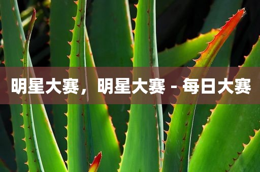 明星大赛，明星大赛 - 每日大赛