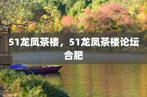 51龙凤茶楼，51龙凤茶楼论坛合肥