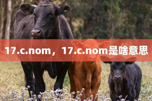 17.c.nom，17.c.nom是啥意思